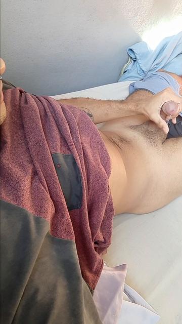  Pau babão 
