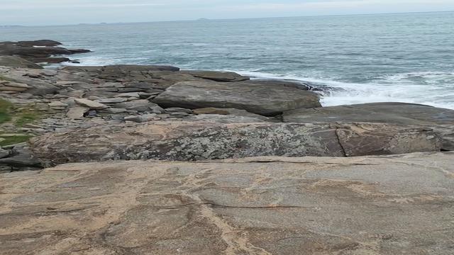 Putaria em Abrico - Completo no Site 