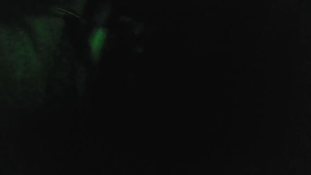 287 - Sexo no ônibus de viagem