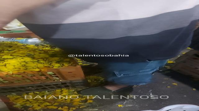 FUI VISITAR O VENDEDOR DE VERDURAS ELE É UM COROA FO...