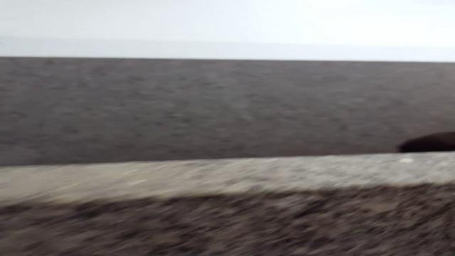 Flagrei o cara batendo uma no detran