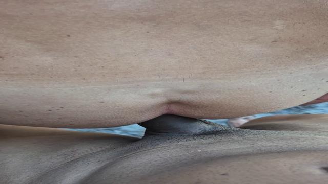 Nas pedras da Galheta