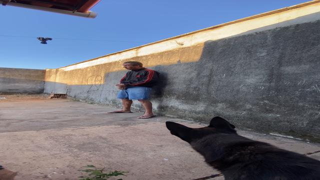 Os meus pets adoram leitinho de manhã. 