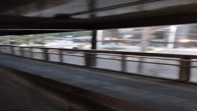 Coloquei a gayzinha pra me chupa na Rua 
