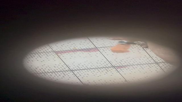 Caminhoneiro peludo 2