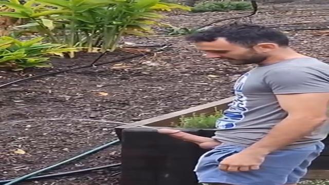 Hétero exibindo o pauzão 