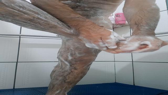 banho parte 3 de 3