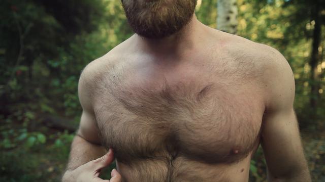 2019 setembro: Sonhos da floresta