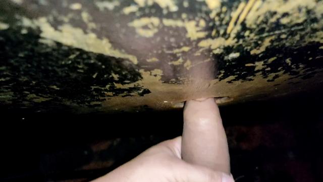 DIEGO NO CINEMA PORNO