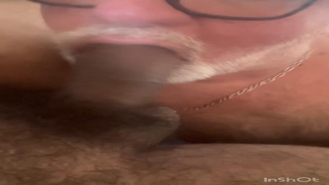 O urso português parte 1