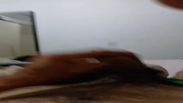 3936 2