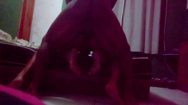 Fudendo gostoso 