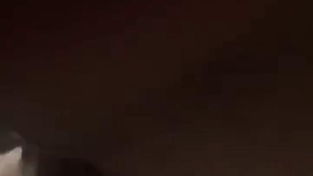 Pai é o Que Sempre dá Leite pro seu Filhote 