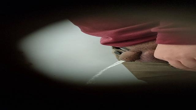 Spy