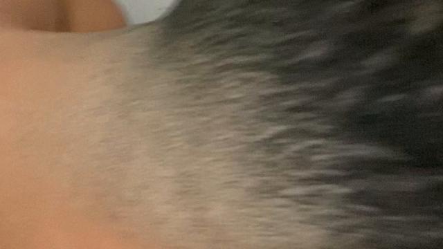 Chupando o cu do branquinho 