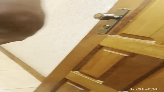 em beve completa última foda do carnaval , esses vid...