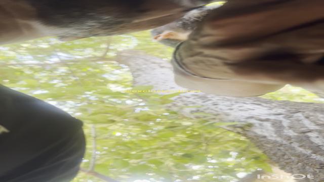 O CARA ME VIU CAMINHANDO E TIROU O PAU PRA FORA 