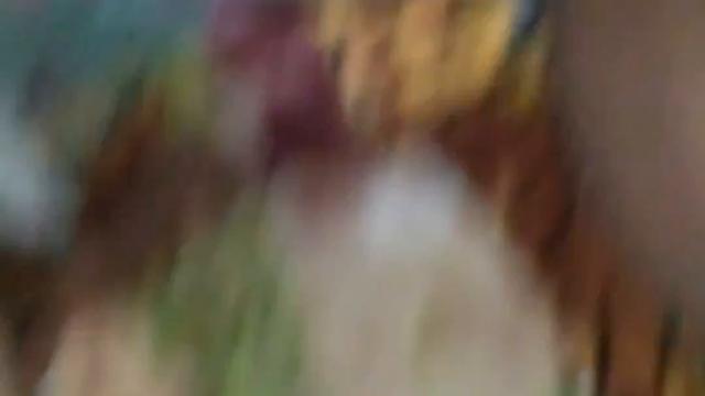 Mamando o Zé droguinha do pauzao 