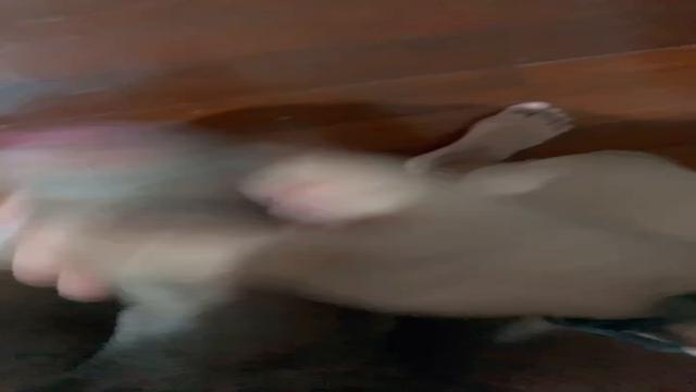 Rapidinha 2 