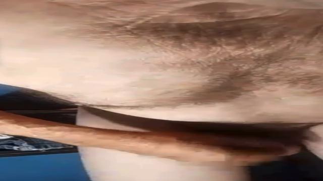 Esse aposentado andou sumido mas voltou quase 10 min...