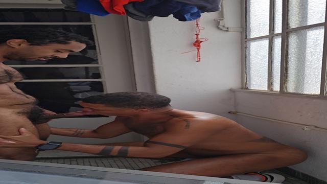 Na área de serviços com o peludo 