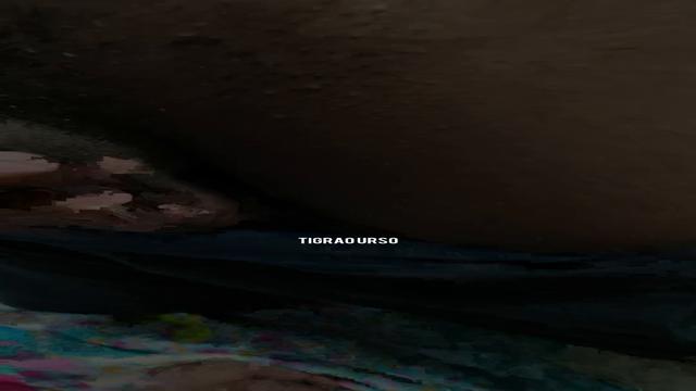 Tranquilão na casa da Pam quer mais vídeos com ele ?
