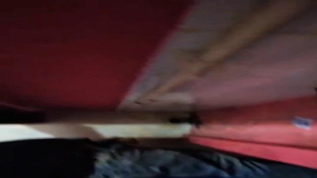 PISSING #242