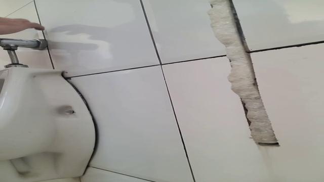 Coroa caçando 