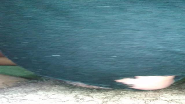 Puta lambe pé e pica de macho 