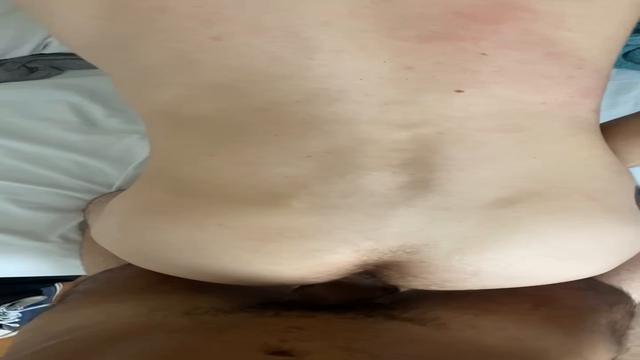 Macetei o braquinho nerd