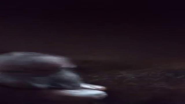 Pescador coroa não aguentou de tesao e foi correndo ...