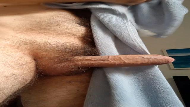 exibindo o pau e gozando