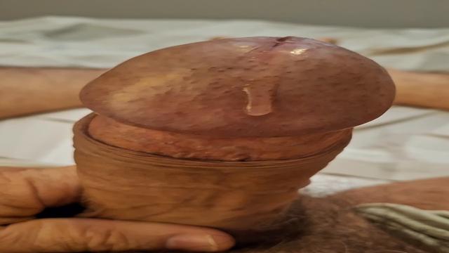 SEXTOU COM MEU PICÃO BABANDO DE TESÃO 