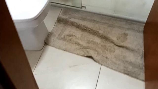 Repostando:Vi na rua coçou o saco, levei p casa tire...