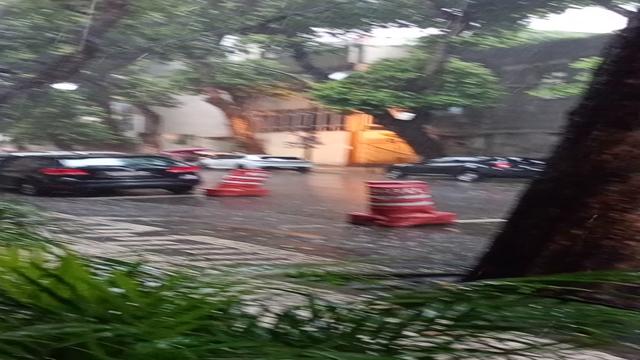 Registros de vida de boy 