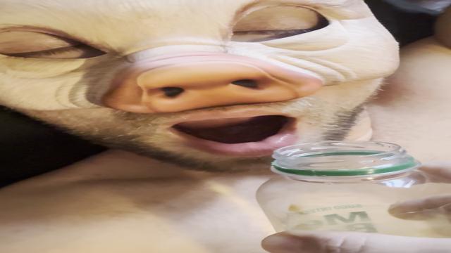 Mais Mijão pro Porquinho Alemão