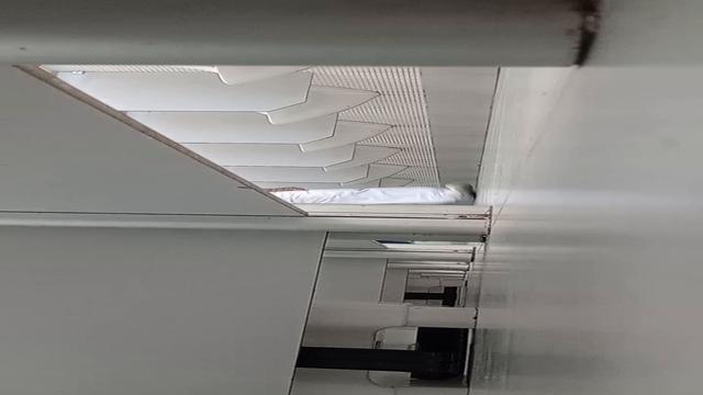 Esses caras são umas delícia 