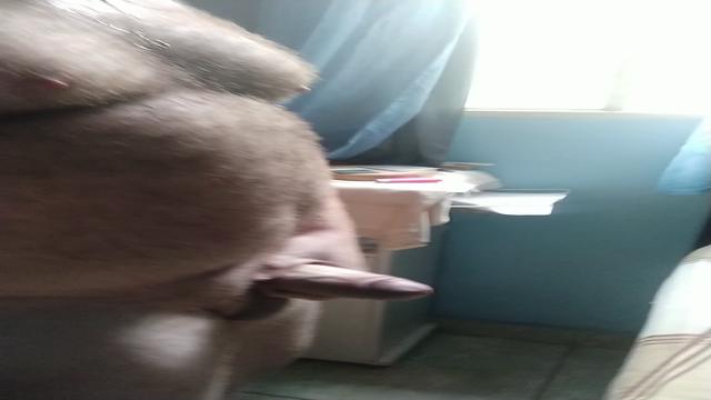 Se tivesse vc aqui!!