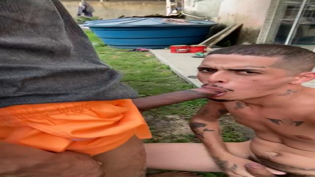 Faltou energia na casa dele, então meteu picq