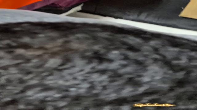 A volta do boy chorão 