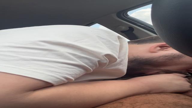 Urso me ajudou aliviar o estresse 