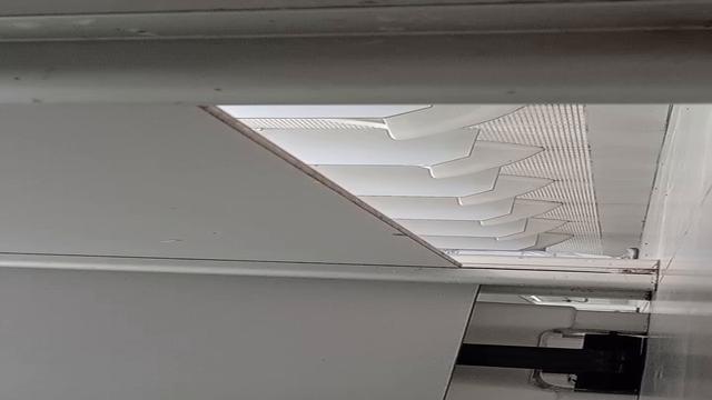 Vários paus gostosos 