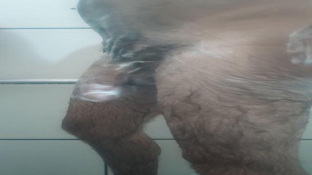 banho