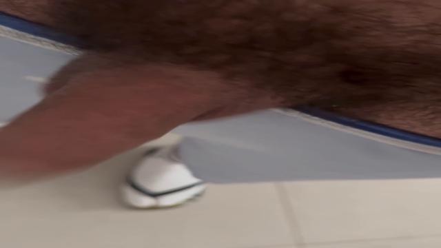 O tubarao quer bjo d bom dia!