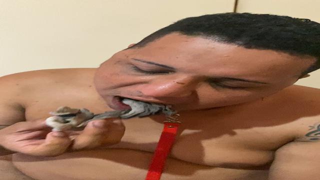 Bebendo suco de meia podre