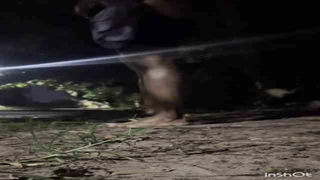 2 part da foda no campos 