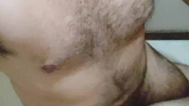 Comendo o urso peludo 