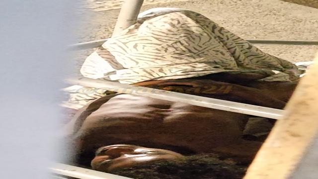 O Morador de rua de Pau Duro 