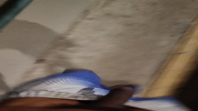 Cm pau fora 