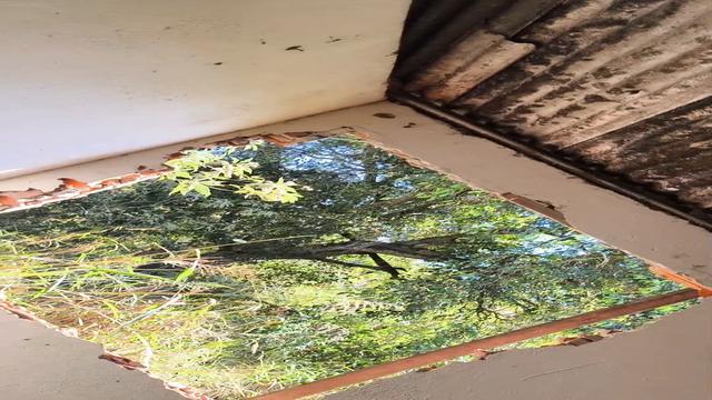 Cdzinha Delivery:Fui fazer o pedreiro gozar na obra 